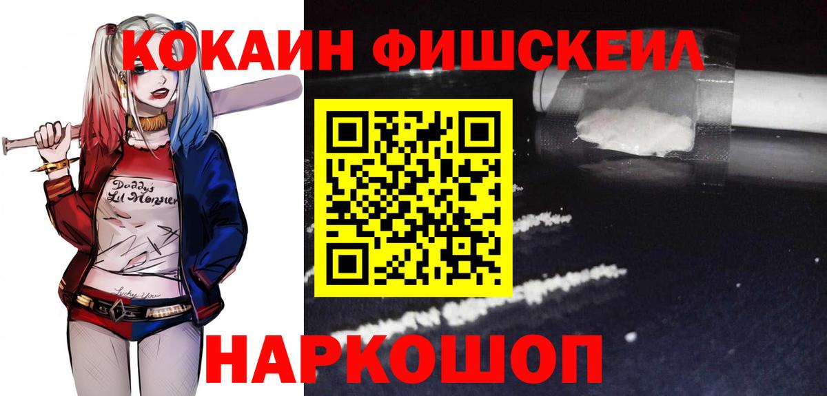 COCAIN Fish Scale  Вход с VPN  купить наркотики сайты  COCAIN Эквадор  Надым 