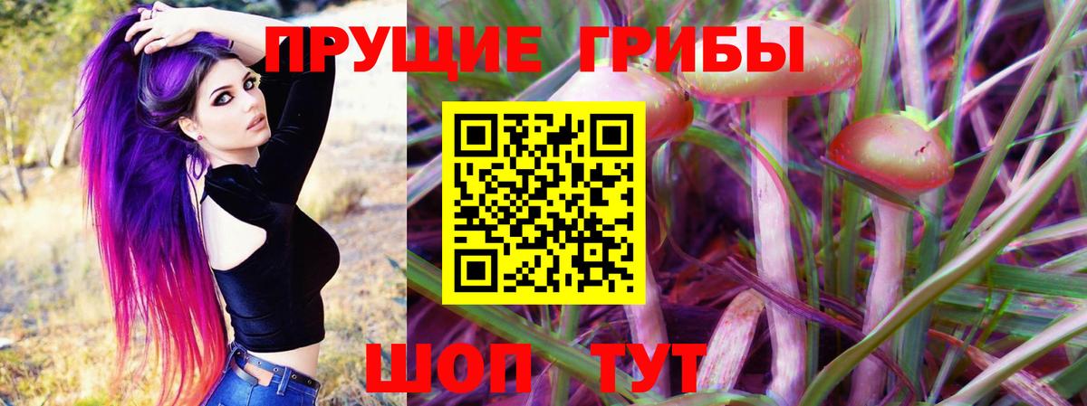 Надым  Псилоцибиновые грибы прущие грибы  где можно купить наркотик  Галлюциногенные грибы Psilocybe  Вход с VPN 