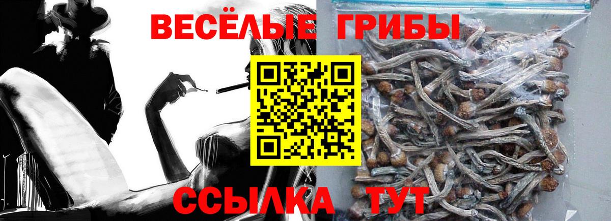 Галлюциногенные грибы ЛСД Надым