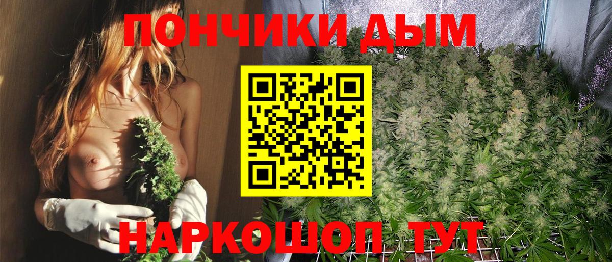 Конопля индика  Вход с VPN  Бошки Шишки семена  Надым  Каннабис VHQ 